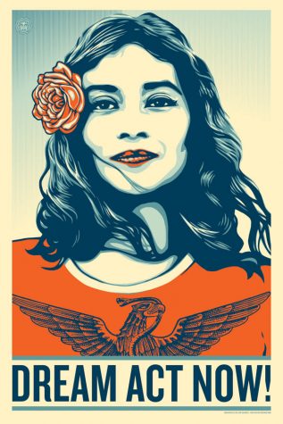 A poster featuring a Latina woman with black hair and a red flower in her hair. The caption at the bottom of the poster reads "Dream Act Now!"