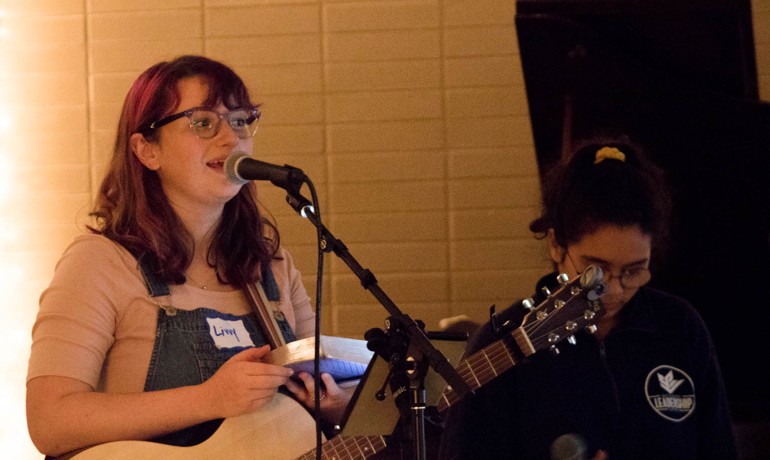 A woman strums a guitar and sings into a microphone