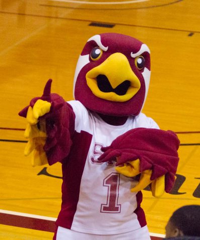 the falcon, spu's mascot