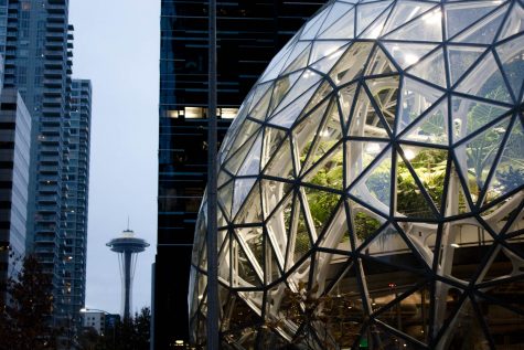 the amazon spheres are seen with the space needle in the background