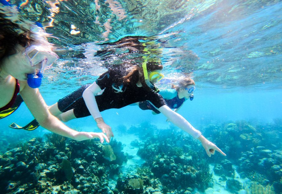 three people snorkeling over a coral reef