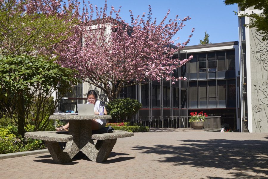 a woman sits at a picnic table and works on a laptop