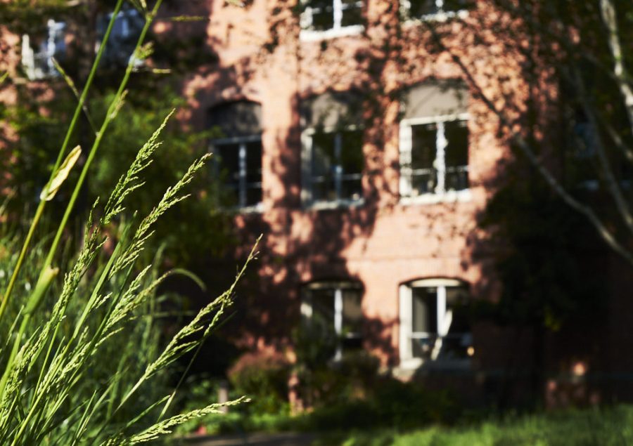 long grass in front of a brick building