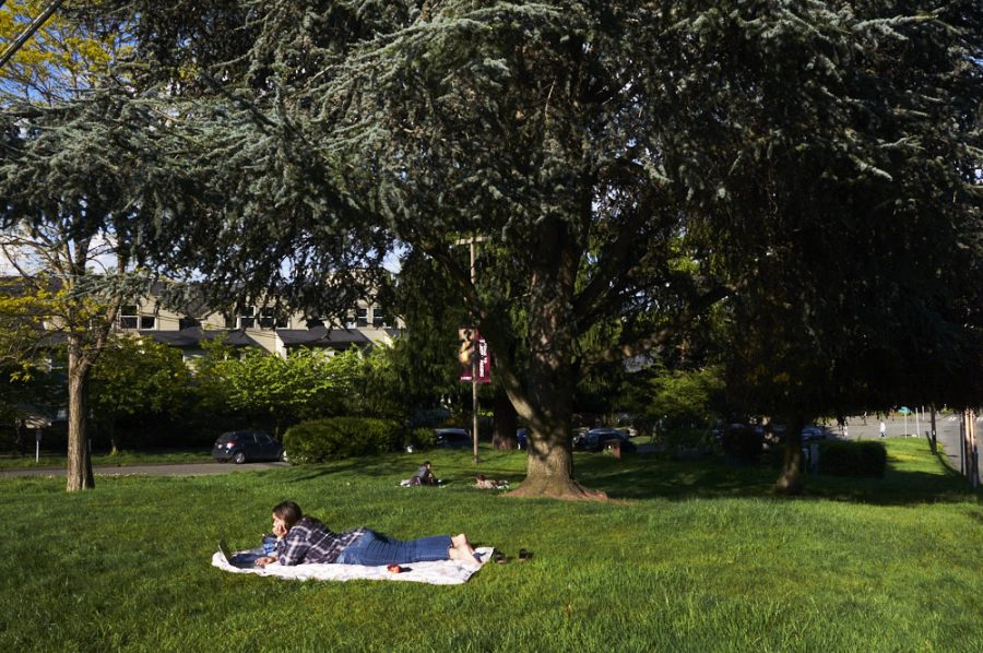 a woman lays on a blanket on a lawn and works on homework