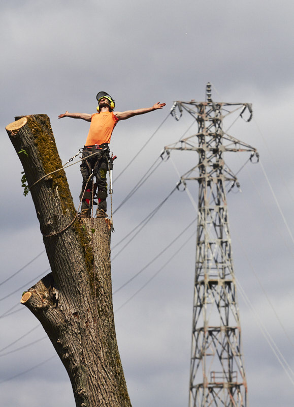 a man stands on top of a tree trunk with outstretched arms