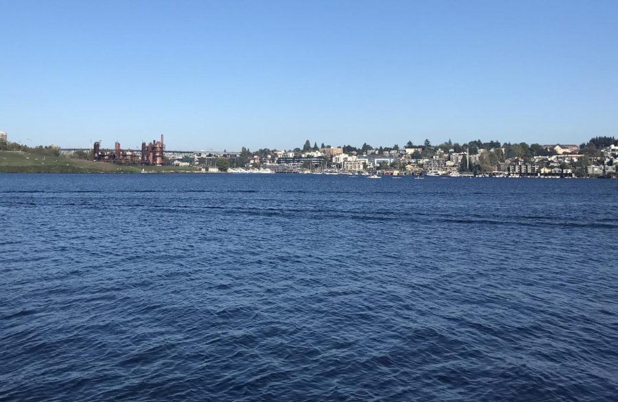 Lake Union, a short walk from campus, is a nice access point to the water.
