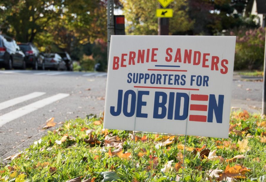 A yard sign depicts the choice many progressives have made in this presidential race, settling for Biden while maintaining their preference for another candidate.