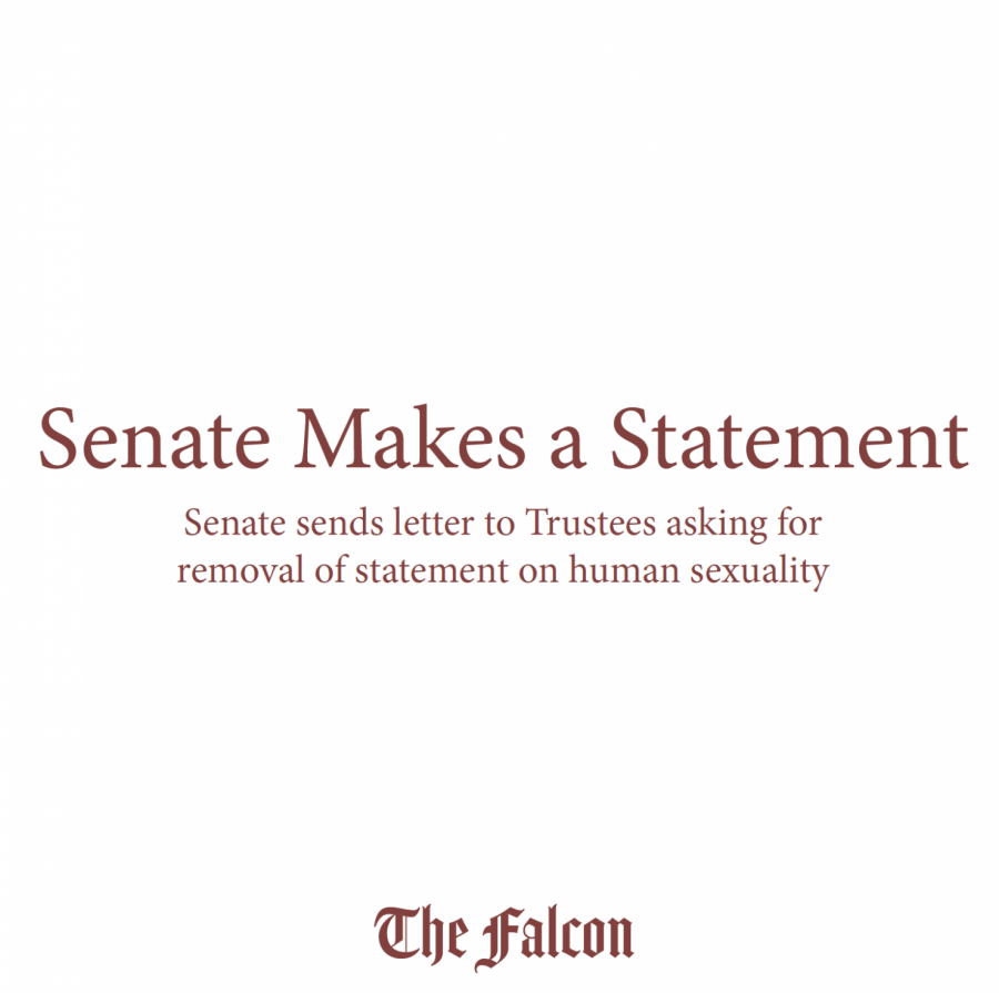 Senate makes a statement