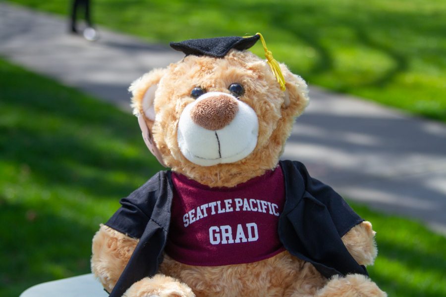 A bear adorned with graduation attire is symbolic of the seniors upcoming graduation, although the teddy is missing a mask. The ceremony will be held virtually.