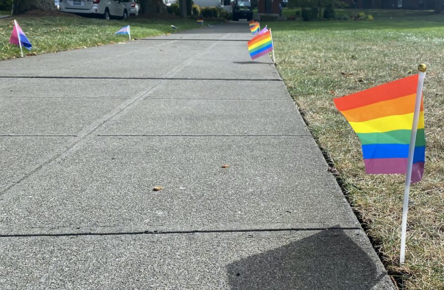 Pride flags placed around Tiffany Loop in support of the LGBTQ+ 
Community. (Sharli Mishra)