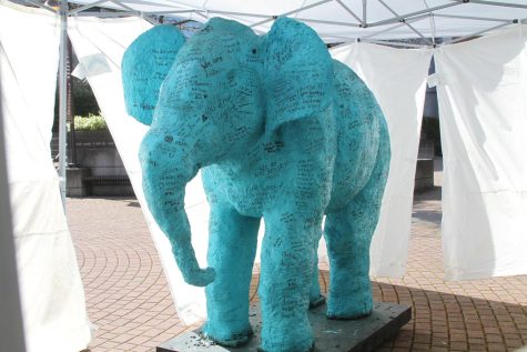 A photo of the elephant that was placed in martin square in honor of sexual assault awareness month. Students were able to write messages on the elephant that coincide with supporting those who have been affected. 