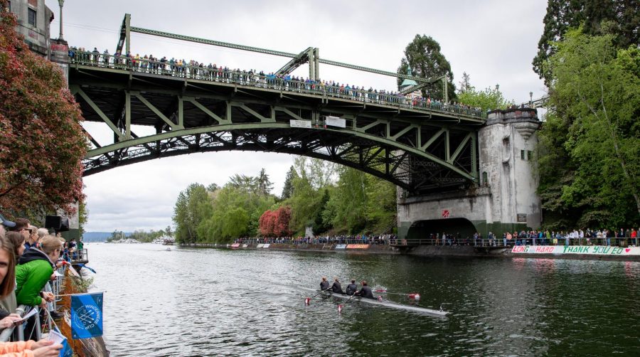The Seattle Pacific Varsity 4+ rows under the Montlake Bridge during the Opening Day Regatta on Saturday, May 6, 2023. The SPU V4+ was second in the Womens Colligate Varsity 4 race.