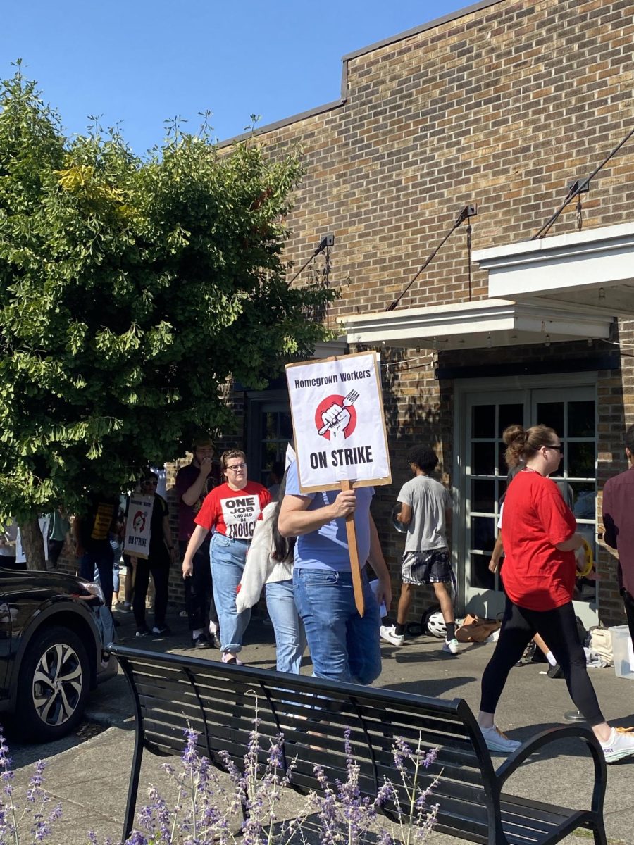 Homegrown, a local soup and sandwich chain, workers on strike for better health care and higher wages