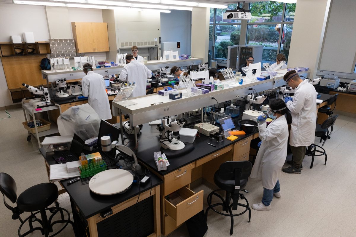 Students Participate in a Genetics lab in Eaton Hall led by Dr. Tracie Delgado on Thursday, Oct. 20, 2023 in Seattle. FILE PHOTO