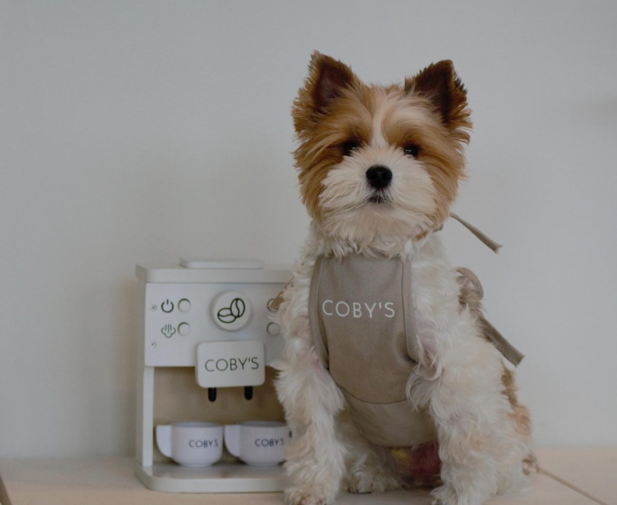 Coby, the namesake of Coby's Dog Cafe, poses next to his pint-sized espresso machine in the cafe's dog lounge on Thursday, Oct. 24, 2024, in Seattle.