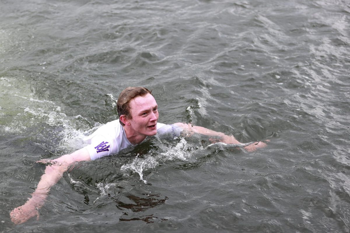University of Washington men's varsity eight coxswain Nick Dunlop swims back to shore after being thrown in the water after winning the Windermere Cup, Saturday, May 3, 2025, in Seattle.