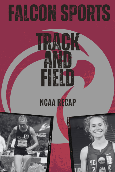 Falcon duo finishes in top 10 at NCAAs
