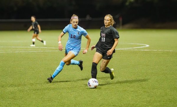 Falcons compete on friendly ground