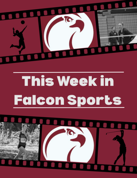 Falcons sweep Montana games